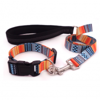 Kingtale Wholesale Custom Pattern Transfer Printing Nylon Durable Cute fashion Pet Dog Leash