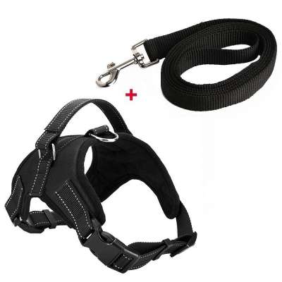 Kingtale Heavy Duty No Pull Dog Harness And Leash for Pet Dog Training Walking Running