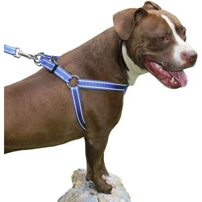 Kingtale Best Step in No Pull Reflective Dog Chest Harness for Large & Medium Size Breeds